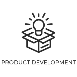 Product Development Icon